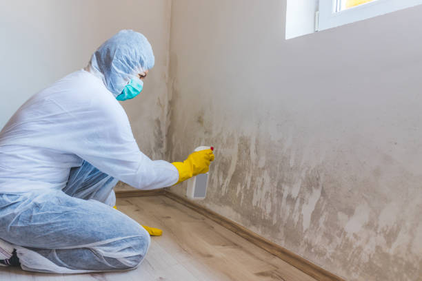Best Crawl Space Mold Removal  in Iselin, NJ