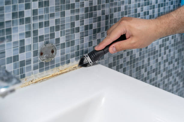Best Affordable Mold Removal  in Iselin, NJ