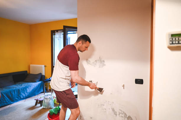 Best Attic Mold Removal  in Iselin, NJ
