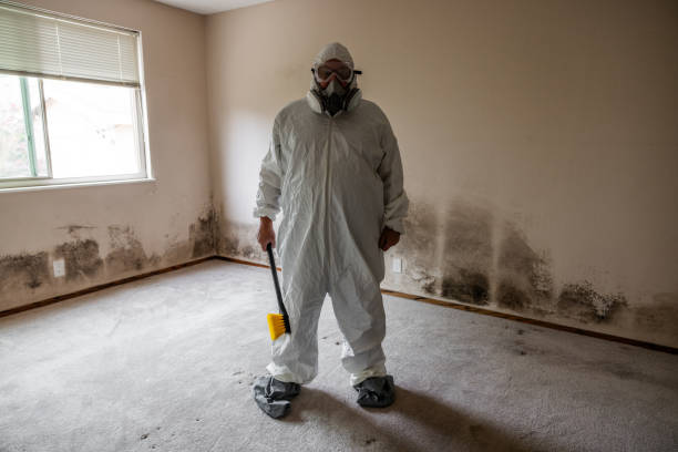 Best Professional Mold Removal  in Iselin, NJ